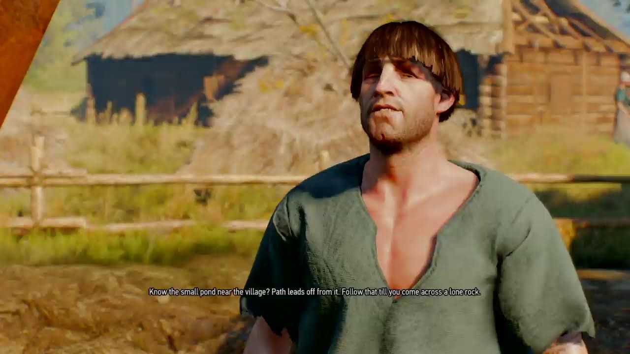 Witcher 3: Goty Edition (PS4)