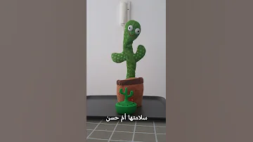 سلامتها أم حسن 