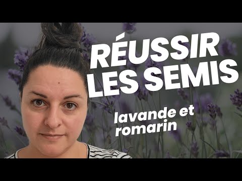 Faire pousser plus de ROMARIN et de LAVANDE en 2021 | Faire les semis à lintérieur durant l&rsquo;hiver