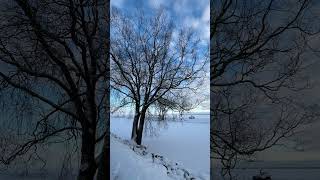 Чудское озеро #зима #snow #lakelifeisthebestlife