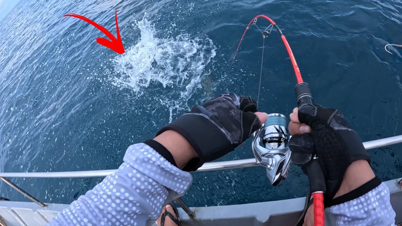 Mancing Jigging Kedalaman 40 meter Di Hajar ikan Monster Penghuni Laut Bintan KEPRI