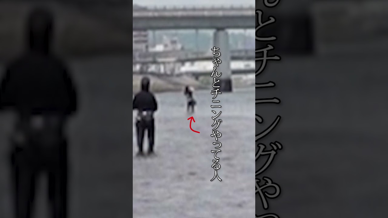 カニで粘る男、ワームで仕留める男 #チニング #黒鯛 #fishing