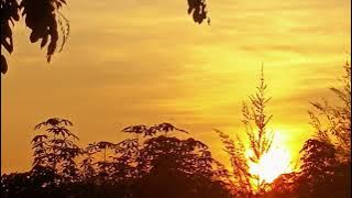 VANNY VABIOLA#Cinta Itu Buta#Video ke 14.000 dalam Chanel YouTube SDK