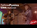 Fellow Pynins – three-song performance (live for The Current)
