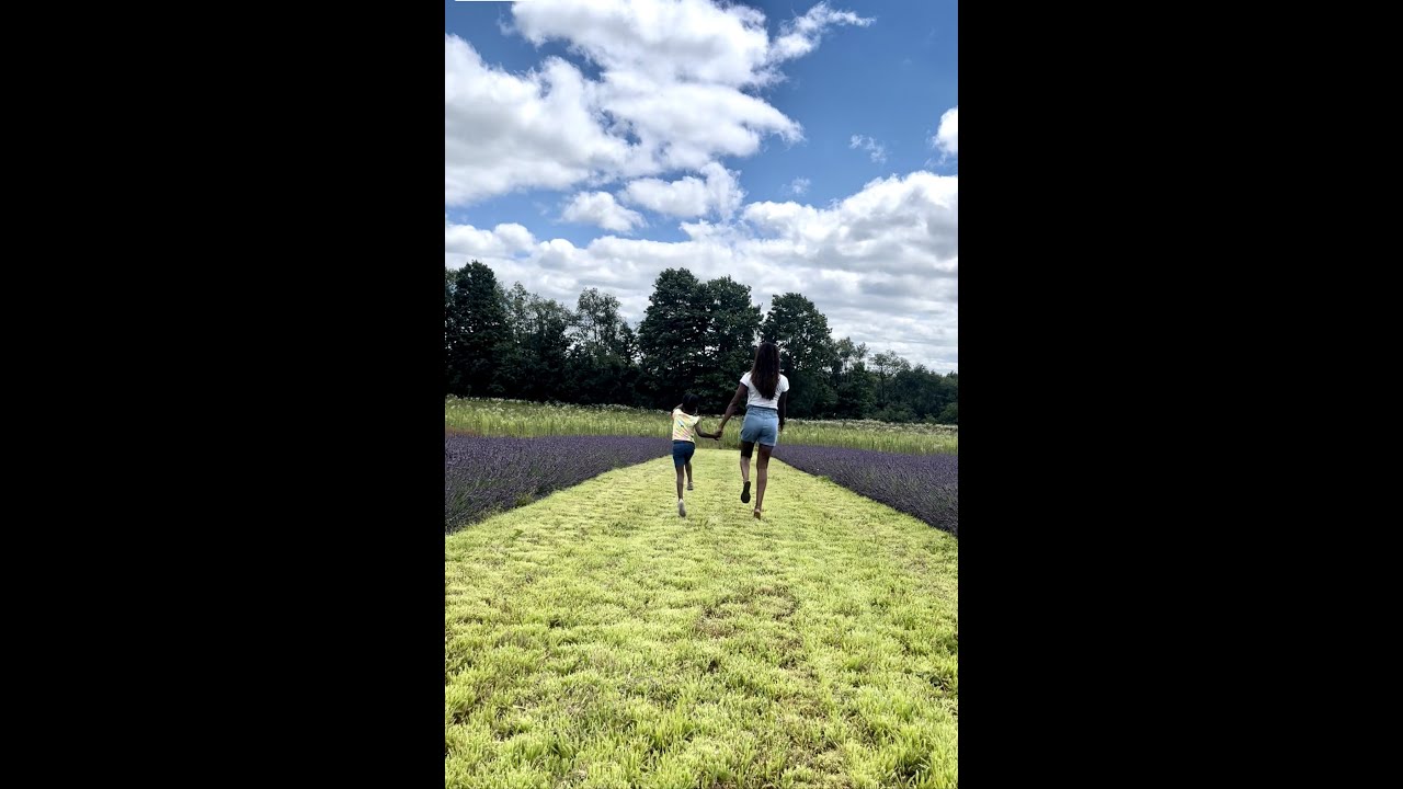 Fun day trip from Toronto: Avalon Lavender Farm