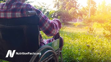 Treating Multiple Sclerosis With the Swank MS Diet