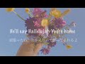 ~あなたの人生は愛で溢れていた~ Supermarket Flowers - Ed Sheeran【洋楽 和訳】