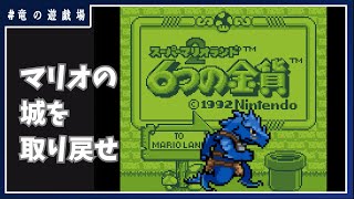 #1【６つの金貨】マリオの城を取り戻せ【竜の遊技場】