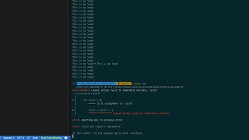 Learning programming with Rust - Episode 5 - loops