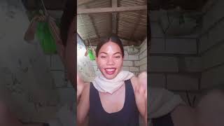 Download Lagu oh dek tia monika ❤️ MP3 Download Lagu oh dek tia monika ❤️ MP3