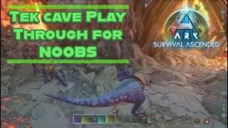 ARK Survival Ascended Gamma TEK Cave As An Average Player