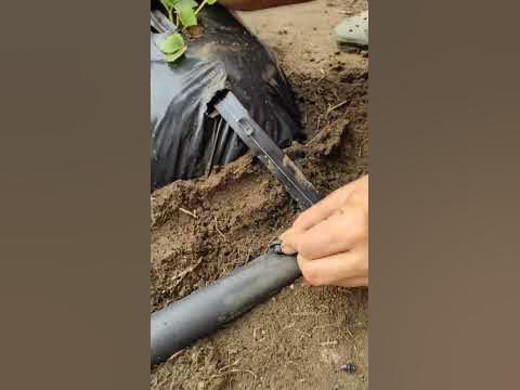 Подключение к основной магистрали капельного полива. - YouTube