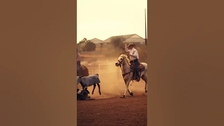 Seven Peaks Fence and Barn… only the best 👏🏻 #ropehorse #equine #arena #horse #texas #fencing