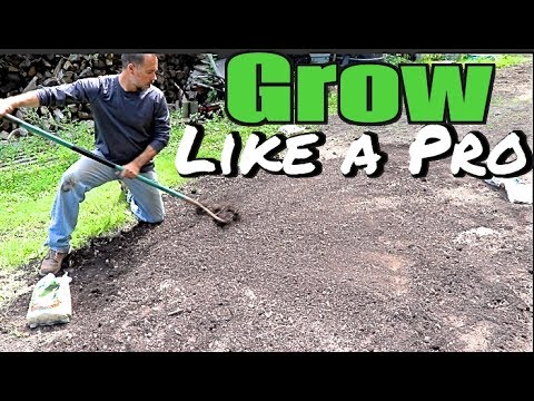 How to Plant a yard and grass seed like a pro -  Grow a new lawn, overseeding, yard & sod care