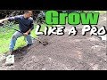 How to Plant a yard and grass seed like a pro -  Grow a new lawn, overseeding, yard & sod care tips