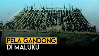 PELA GANDONG DI MALUKU