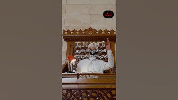 قرآن کریم پښتو ترجمه سورة العلق آیات 1-8 Quran with Pashto Translation