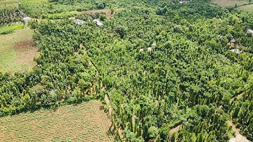 Vườn trái cây đủ loại, có nhà cấp 4, cách lộ nhựa 700m, 300m2 thổ cư, xuân tây, cẩm mỹ