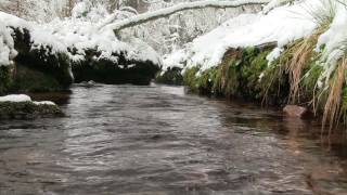 Meditation at the creek Only natural sounds