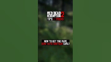 This is basically a cheat code! #cheatcodes #rdr2 #rdr2tips #gaming #reddeadredemtion2