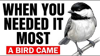 Why a Bird Appears When Everything in Your Life Changes