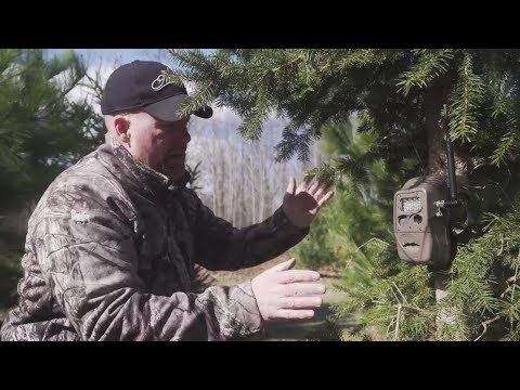3 Tips for Better Trail Camera Placement