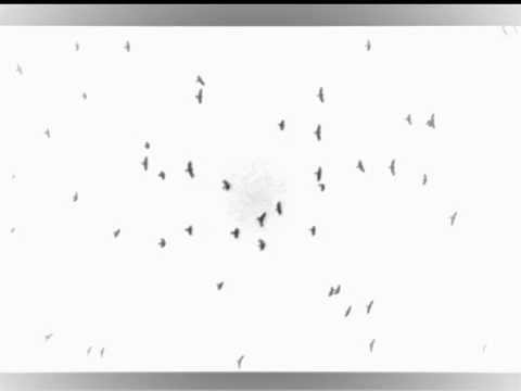 არავინ - \"ძალიან შორს\" ♥ || aravin - dzalian shors