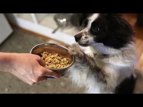 Video: Pawsome Contest - Vyhrajte rok dodávky Merrick Dog Food