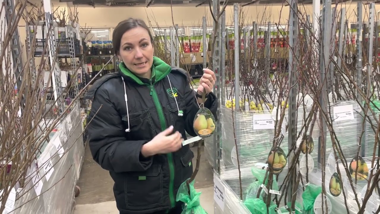 Огромный выбор саженцев плодовых культур в Гринвилль! Смотрите подробный обзор!