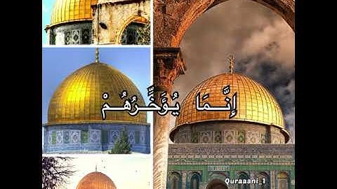 ولا تحسبن الله غافلًا عما يعمل الظالمون.. القارئ ابو بكر الشاطري 😌🌸