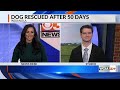Vermilion Co. family made whole after finding lost dog 50 days later