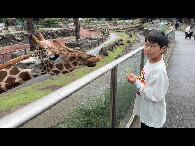 レオくんがおでかけ！伊豆アニマルキングダム！ Part156 トイキッズ