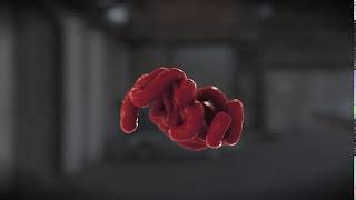 Houdini - Differential Growth in POP's