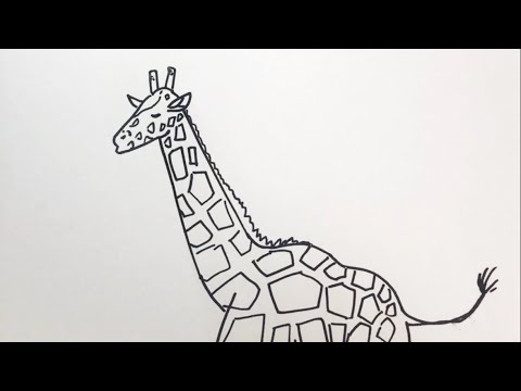 簡単 キリンの描き方 イラスト お絵描き Easy How To Draw Giraffe Illustration Draw Youtube