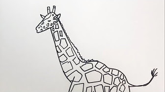 動物 簡単イラストの描き方 Animals How To Draw Simple Illustrations Youtube
