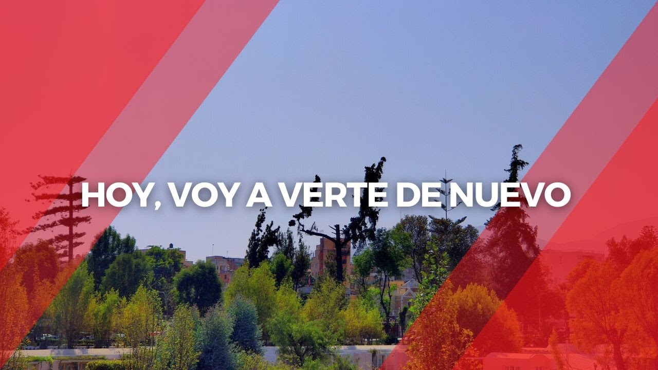 Hoy, voy a verte de nuevo