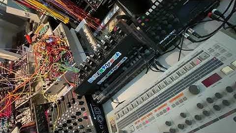 Techno Jam with TR-909 and Moog DFAM