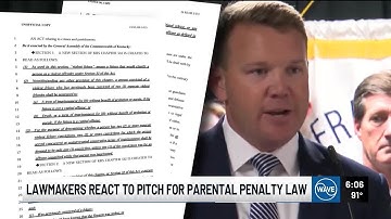 Lawmakers react to pitch for parental penalties to curb youth crime