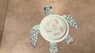 Famous How to Make a Sea Turtle Craft | Free Color-By-Number & Paper Plate Tutorial! Profile