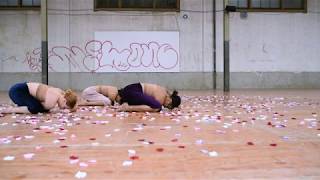 Rosas By Sarafina Beck