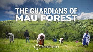 Women Reforesting Kenya: Protecting Land, Forests, and Indigenous Culture | One Tree Planted
