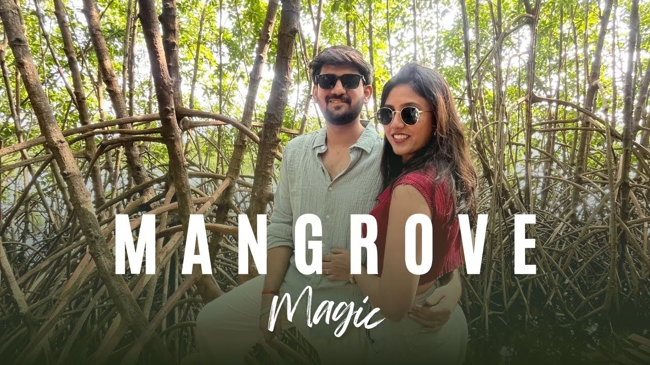 Walk Through Mangrove Forest | Vlog 36 