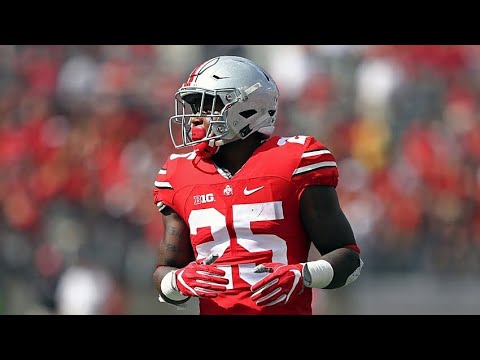Mike Weber Highlights 2018-19 Ohio State RB | ᴴᴰ