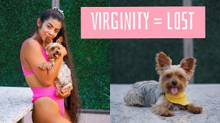 Dog Takes My Virginity
