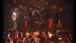 The Time Frequency Ttf - Real Love Live