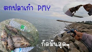 #ตกปลาเก๋า หาดMPY. 12. 09 2565