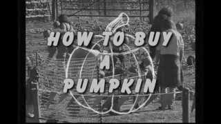 Tv Commercial For The Benefit Pumpkin Patch For Camp Millennium.