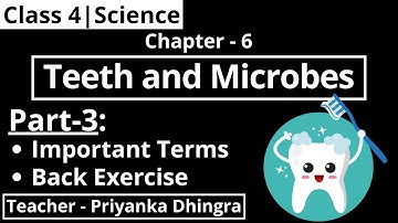 Class 4 | Science | Chapter-6 : Teeth and Microbes (Part-3 : Important Terms and Back Exercise)