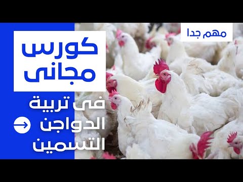 فيديو: تقييم الموظفين: النظام والأساليب