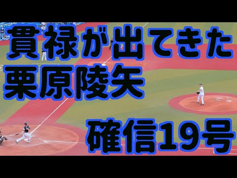 20号まであと1本！貫禄が出てきた栗原陵矢の確信19号ホームラン【ホークス】
